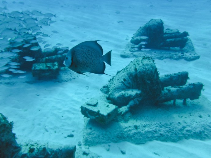 Asia-Central America 2013-2375